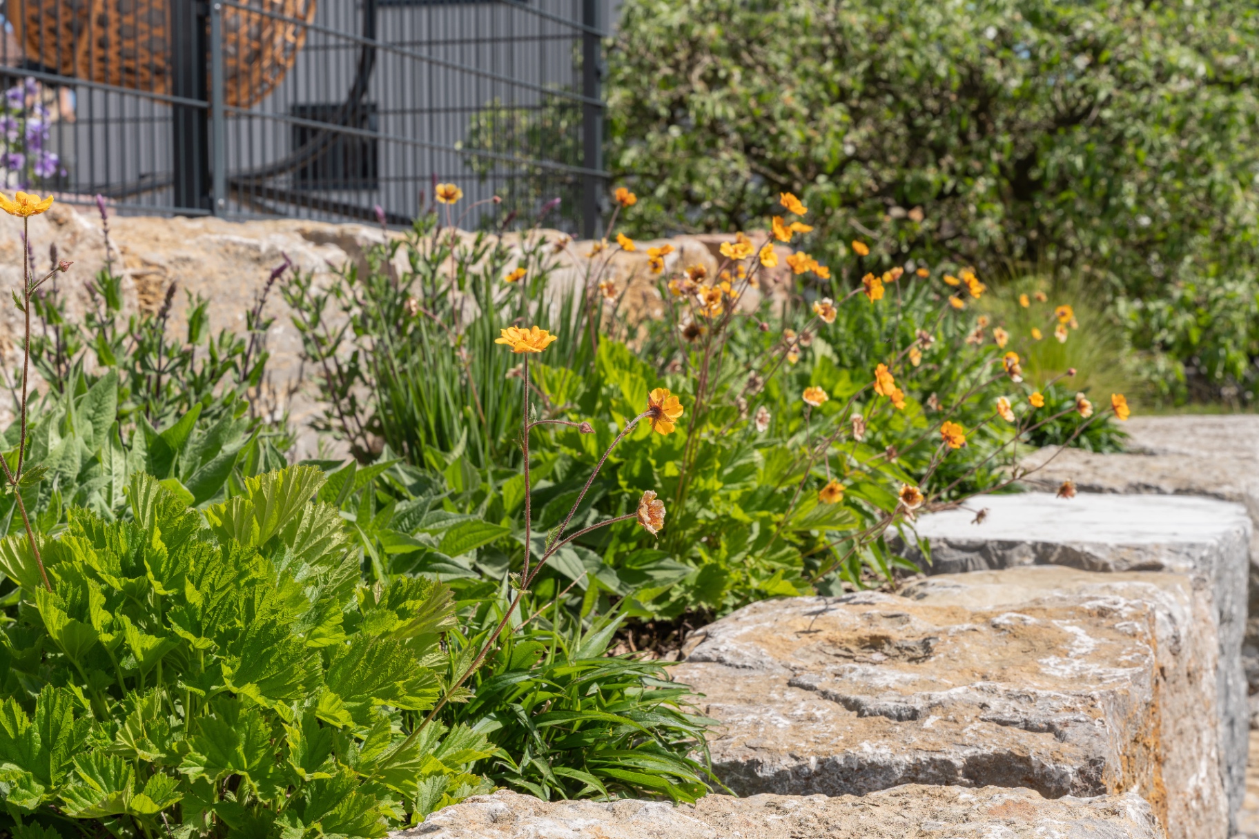 Garten vor der Neugestaltung