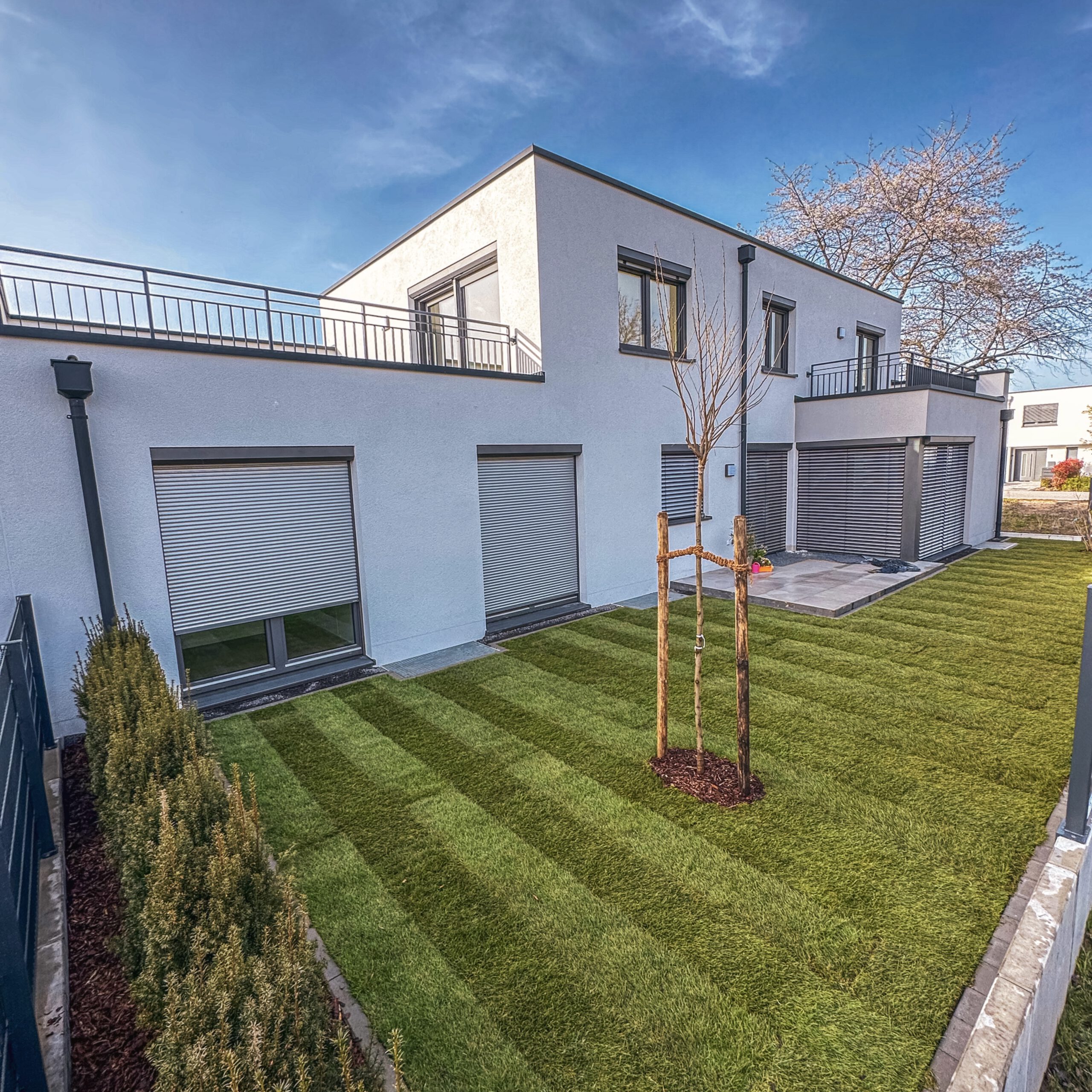 Moderner Hausgarten mit Neuanlage